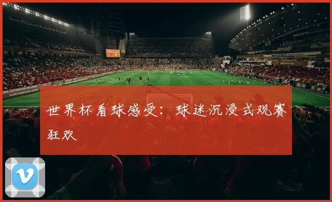 世界杯看球感受：球迷沉浸式观赛狂欢
